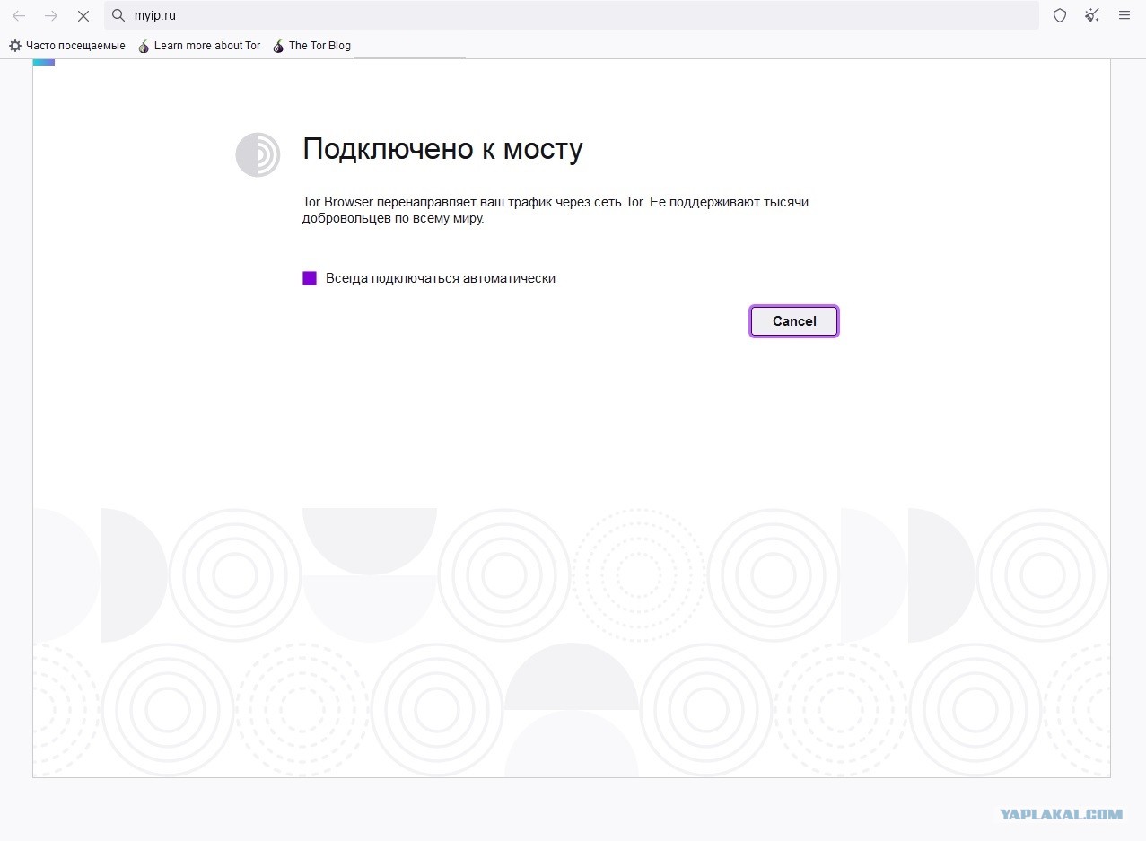 Актуальные ссылки на кракен тор