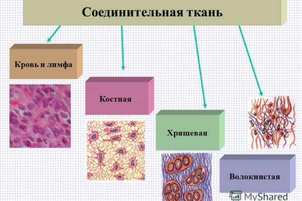 Kraken darknet зеркала