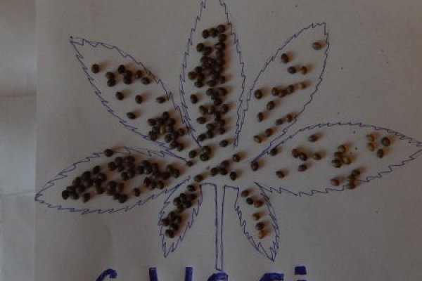 Аккаунты кракен