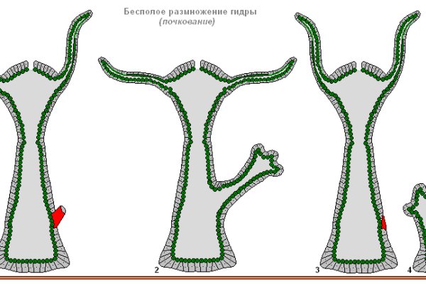 Кракен сообщество