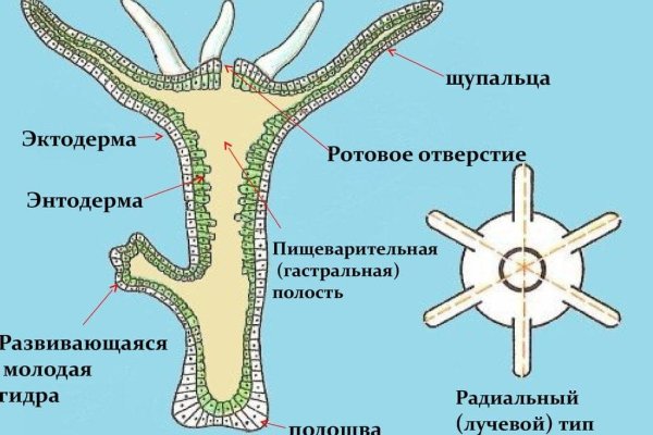 Кракен маркетплейс ссылка krakenat2krnkrnk com