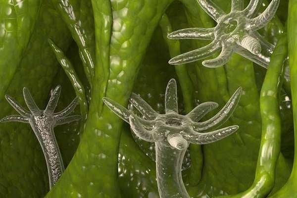 Кракен сайт магазин kraken clear com