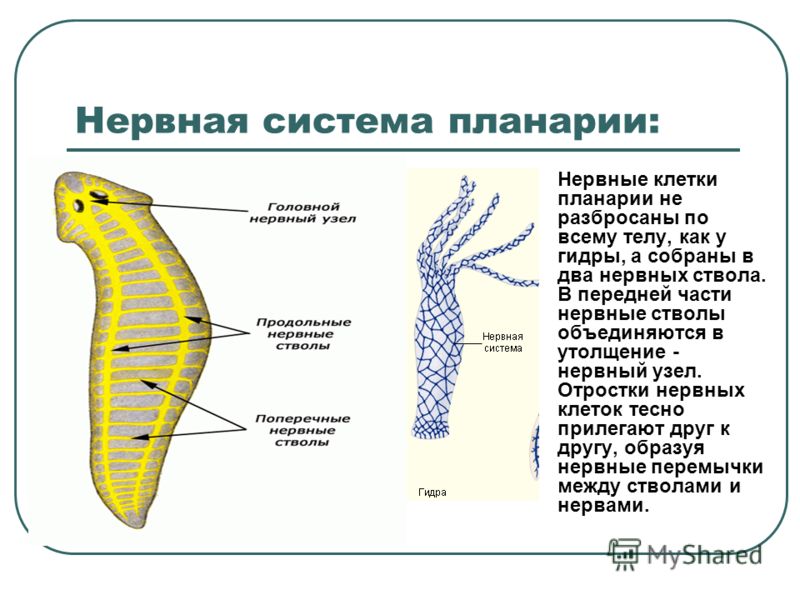 Кракен сайт наркотиков
