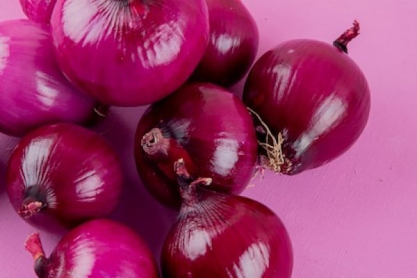 Kraken рабочее зеркало onion