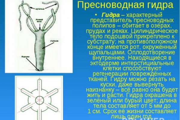 Кракен вход krakens13 at