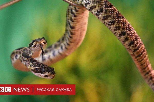 Даркнет кракен отзывы о платформе